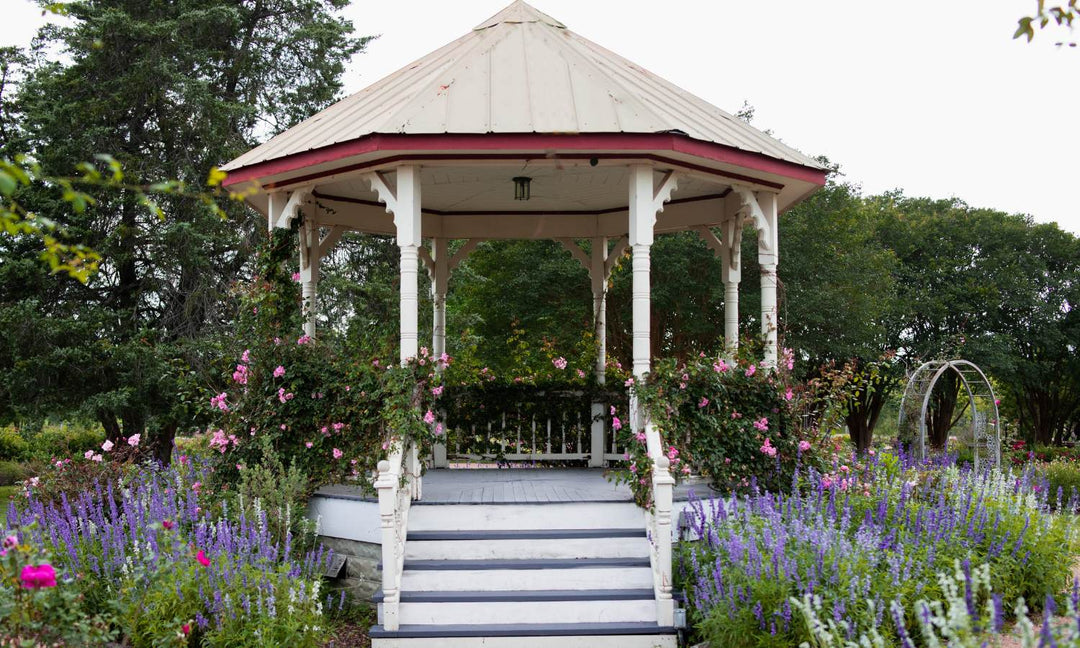 Climbing Roses on gazebo surrounded by colorful flowers.