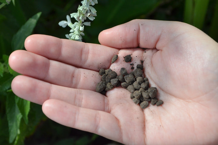 MicroLife - Humates Plus 0-0-4