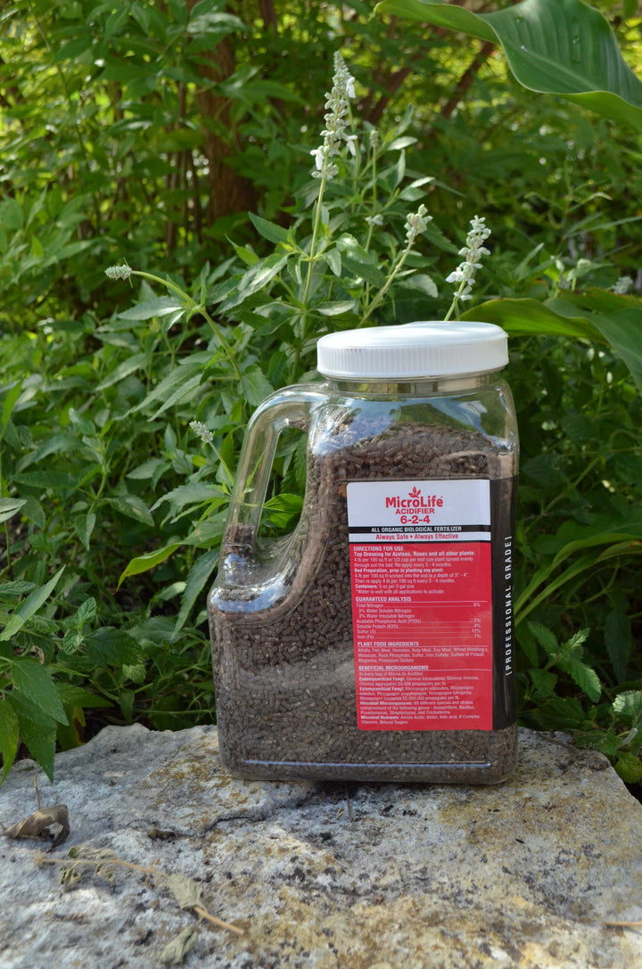 MicroLife - Acidifier 6-2-4