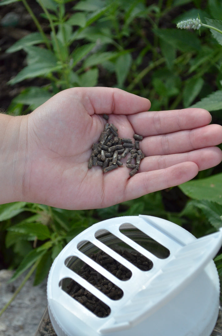 MicroLife - Acidifier 6-2-4