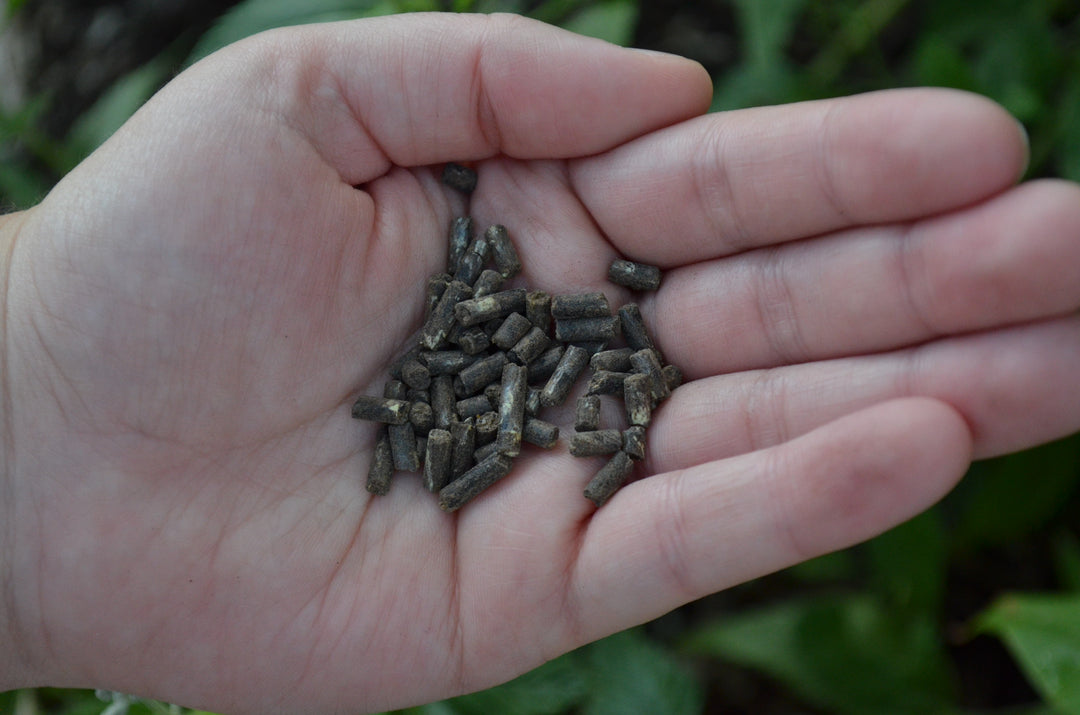 MicroLife - Acidifier 6-2-4