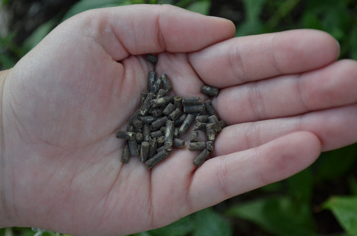 MicroLife - Acidifier 6-2-4