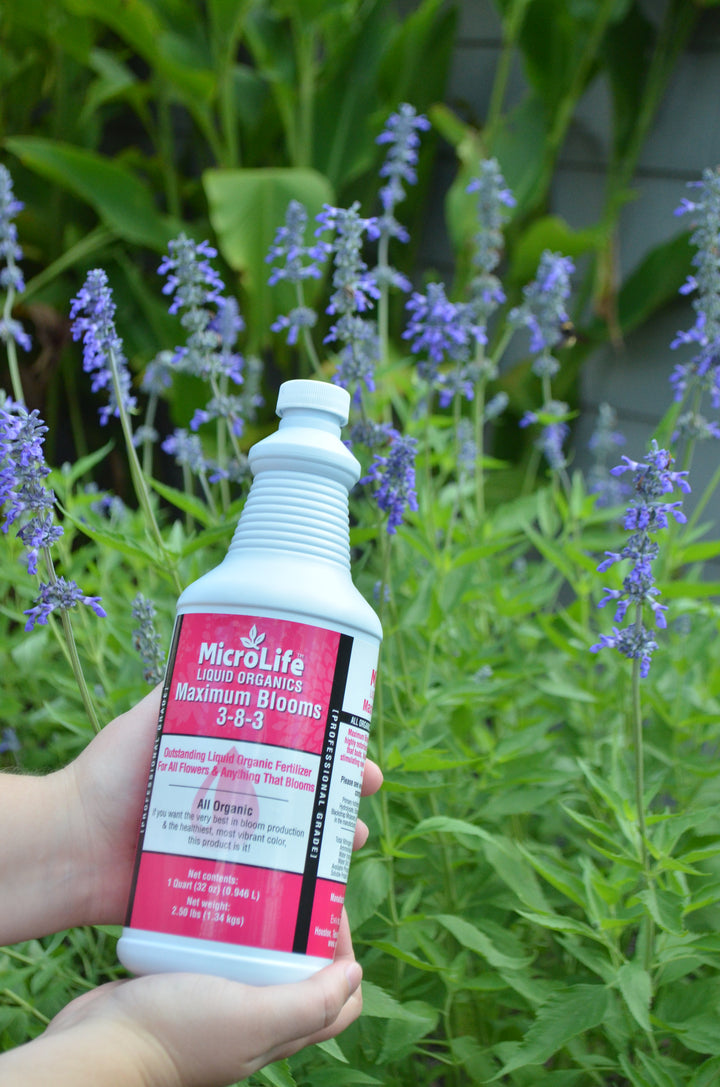 MicroLife - Maximum Blooms 3-8-3