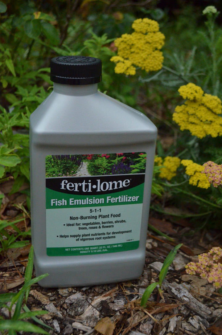 Bottle of Fertilome fish emulsion fertilizer 5-1-1 for gardening with yellow flowers in the background.