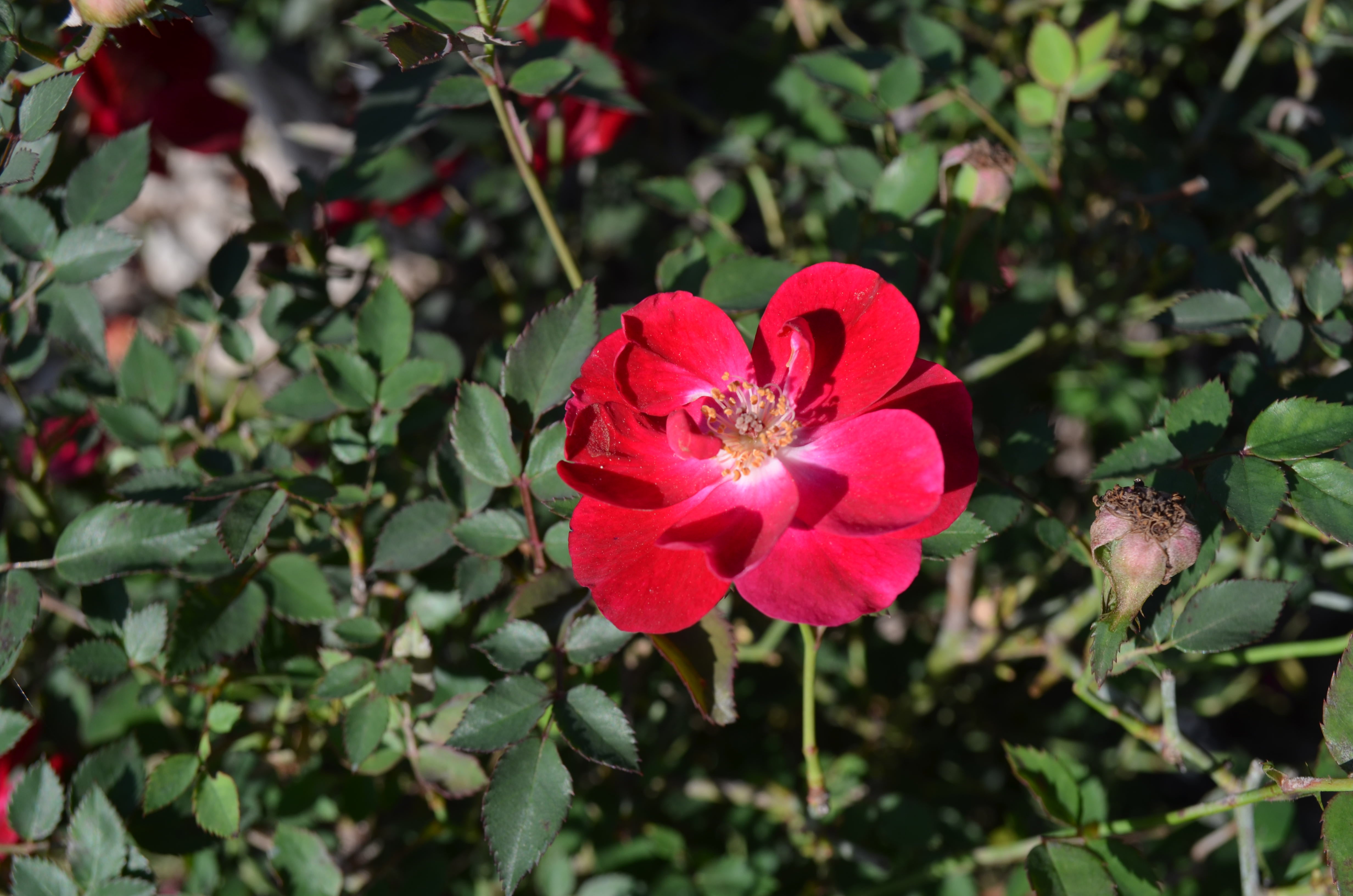 Martha_Gonzalez_3.jpg?v=1760128546