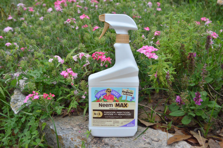 Captain Jack's Neem Max neem oil for organic gardening on a rock with greenery behind it.