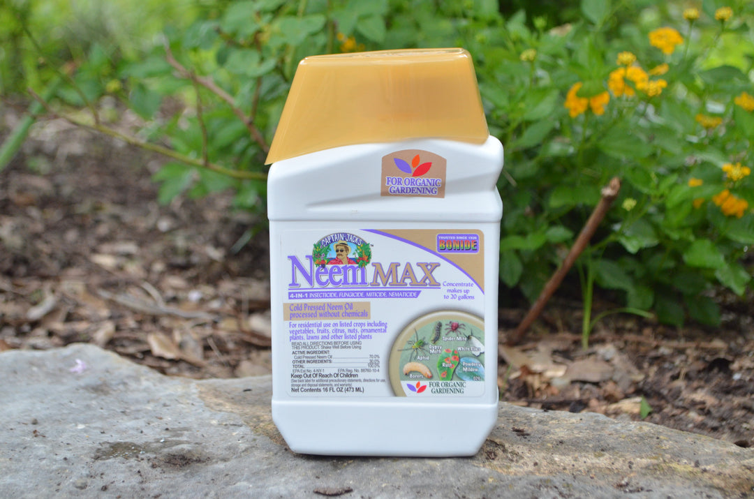 Front of Neem concentrate container on a stone surface with greenery in the background