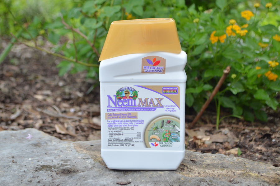 Front of Neem concentrate container on a stone surface with greenery in the background