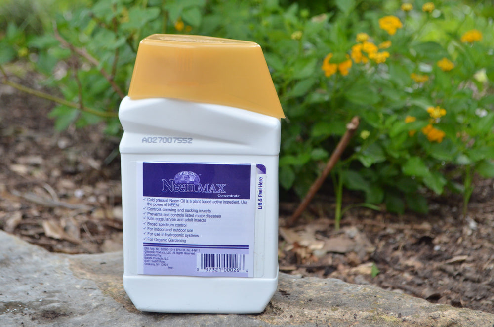 Neem oil container on a stone surface with greenery in the background.