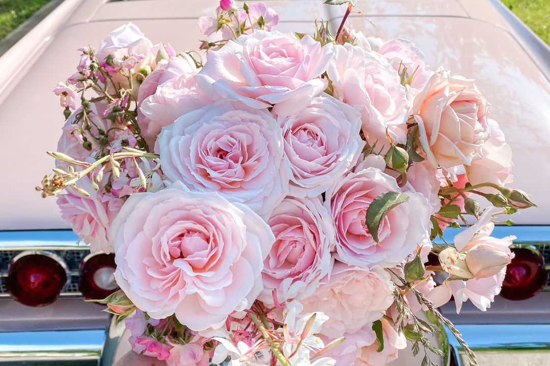 Bouquet of ight pink roses called Quietness with vintage car in the background.