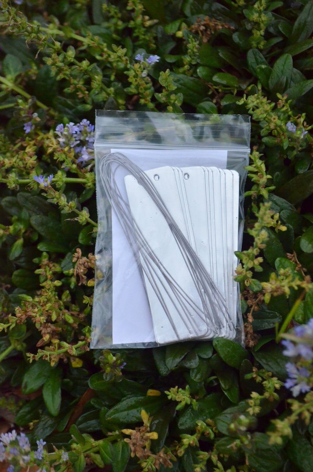 Wire On Tags (Set of 10)