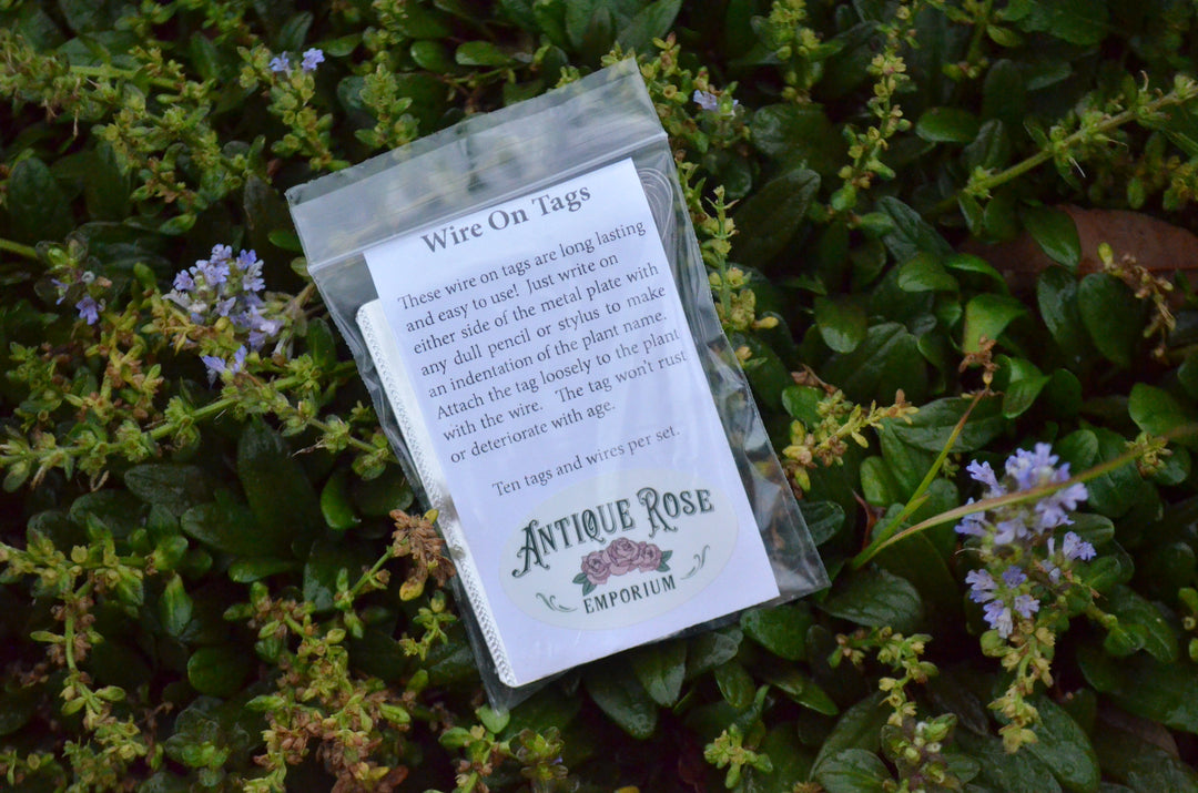 Wire On Tags (Set of 10)
