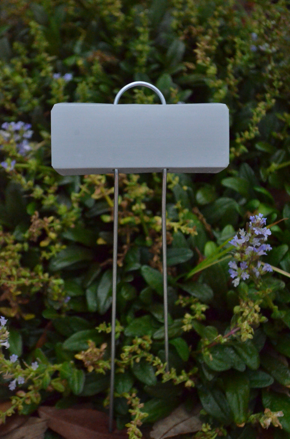 Close up of metal plant marker for rose garden