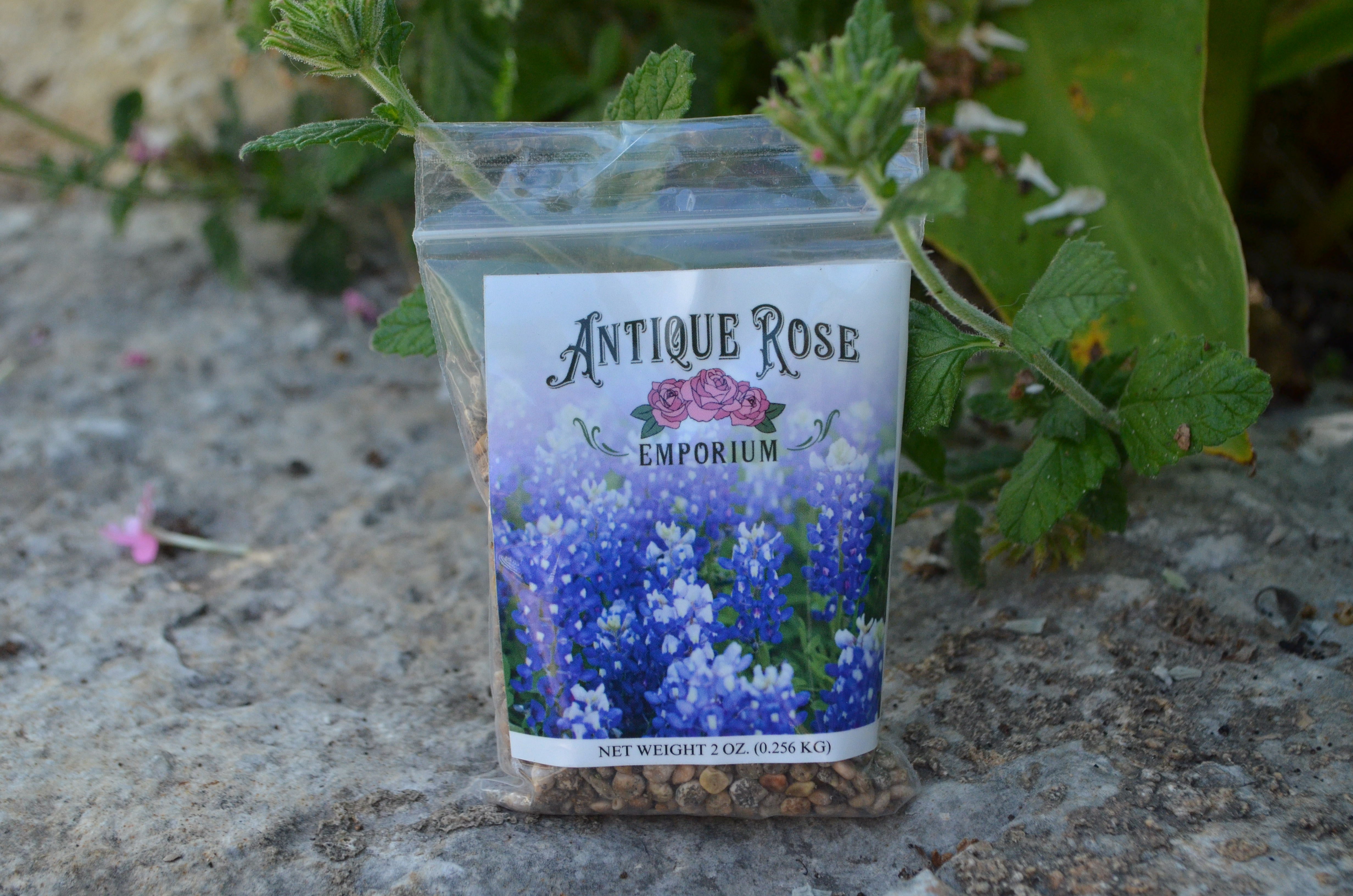 Bluebonnet Seed (2oz) – Antique Rose Emporium