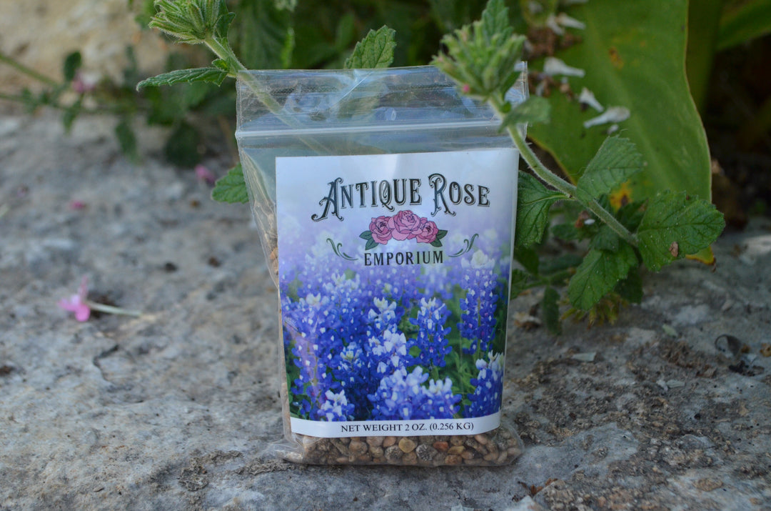 Bluebonnet Seed (2oz)