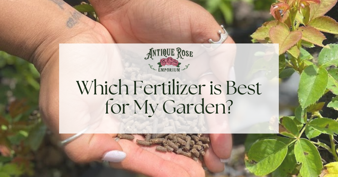 Which Fertilizer is Best for My Garden?