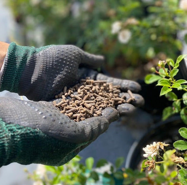 Which Fertilizer is Best for My Garden?