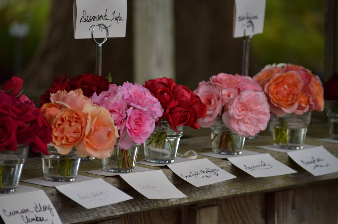 Great Cut Roses