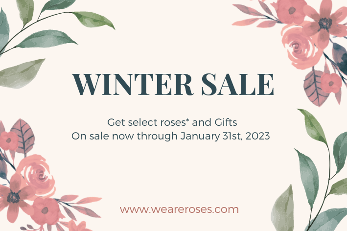 Now on Sale!