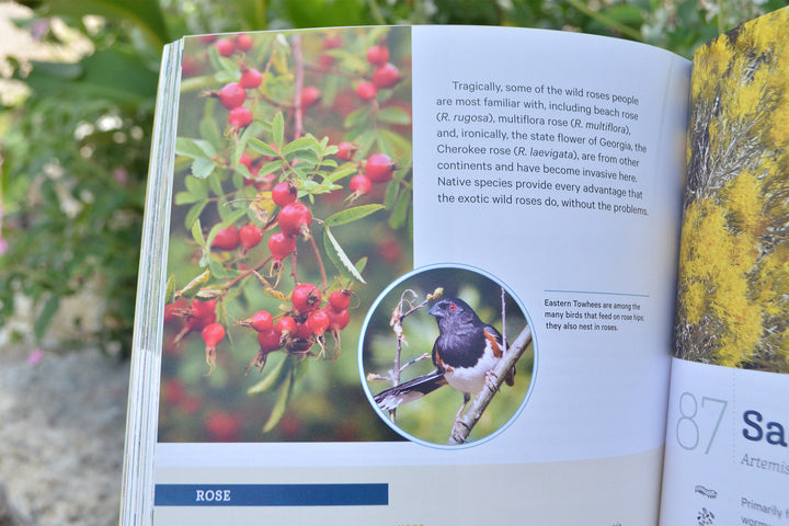 Book open to a page about wild roses with a close-up of red rose hips and a bird photograph.