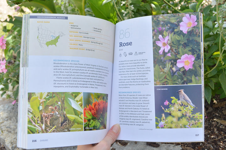 Open book, 100 Plants to Feed the Birds, with information on roses held against a natural background.