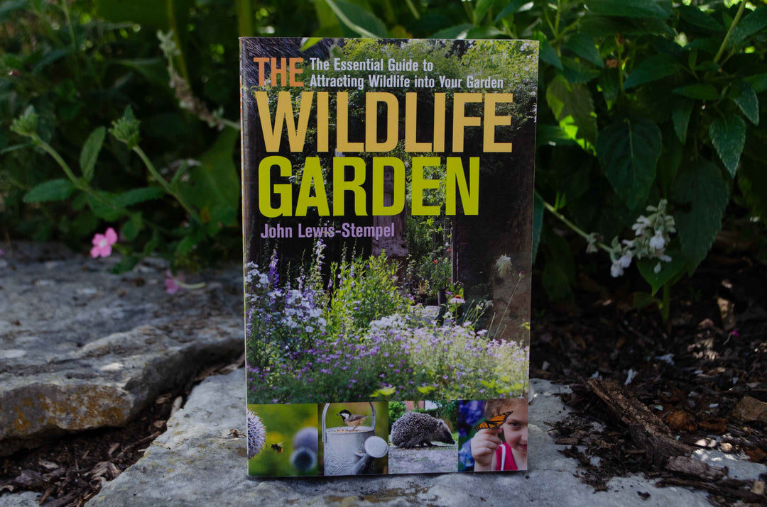 The Essential Guide to Attracting Wildlife into Your Garden