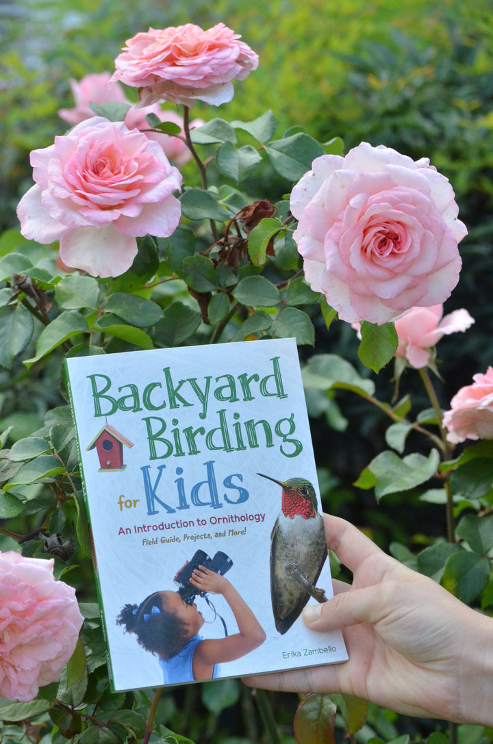 Backyard Birding for Kids: An Introduction to Ornithology