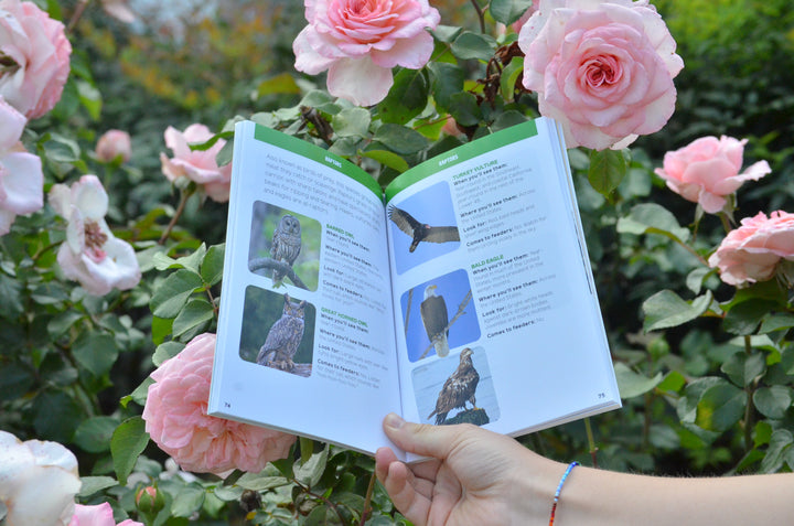 Backyard Birding for Kids: An Introduction to Ornithology