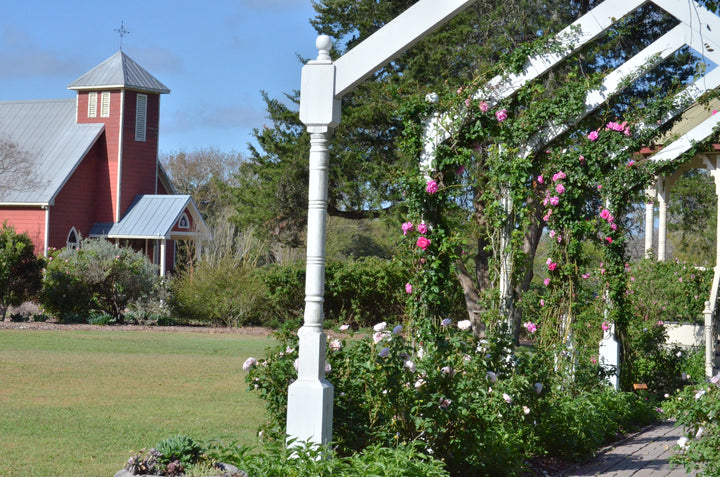 Rosarian Day