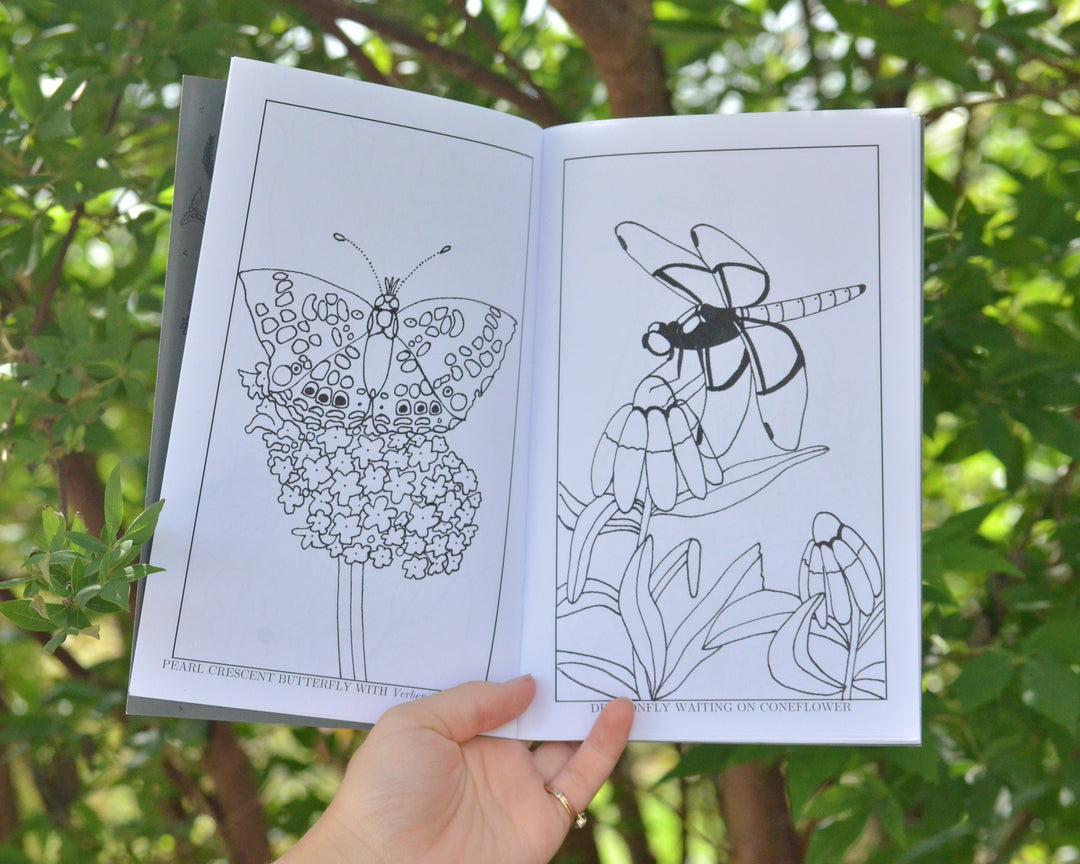 Friends in the Gardens: Beneficial Insects Coloring Book