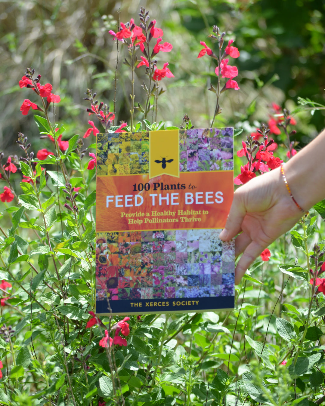 100 Plants to Feed the Bees