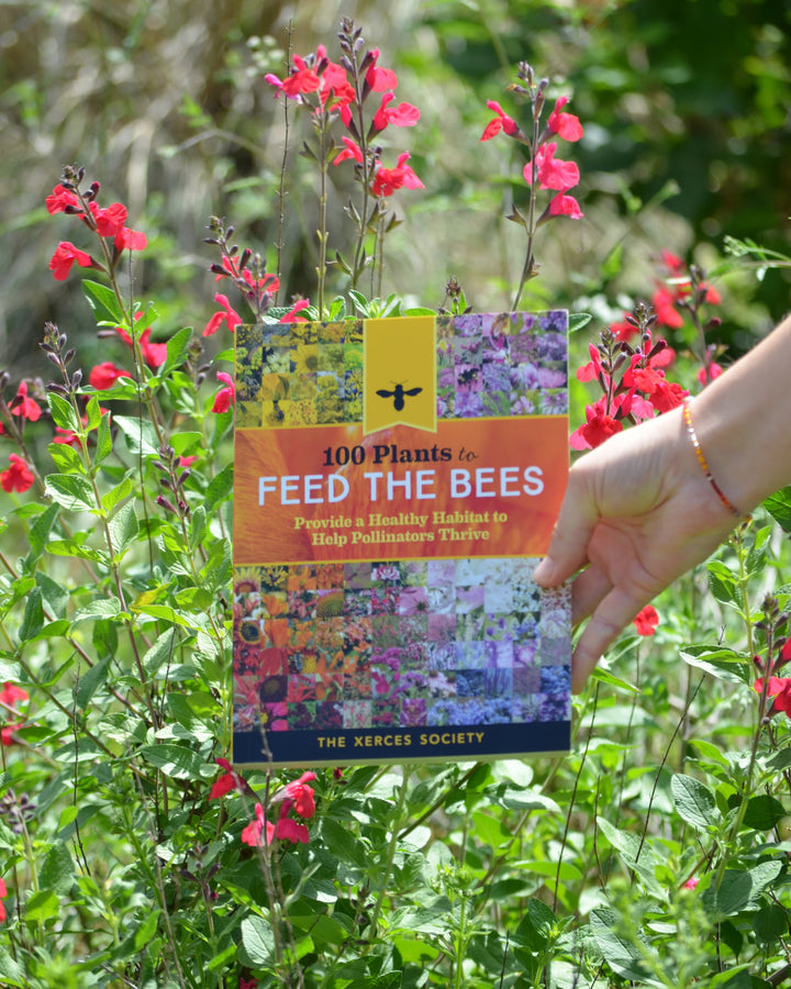 100 Plants to Feed the Bees