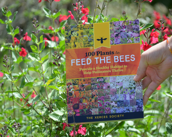 100 Plants to Feed the Bees
