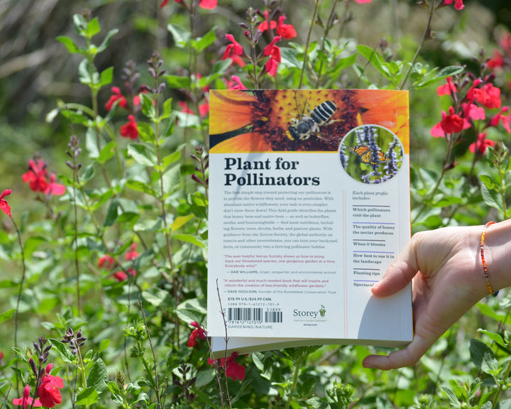 100 Plants to Feed the Bees