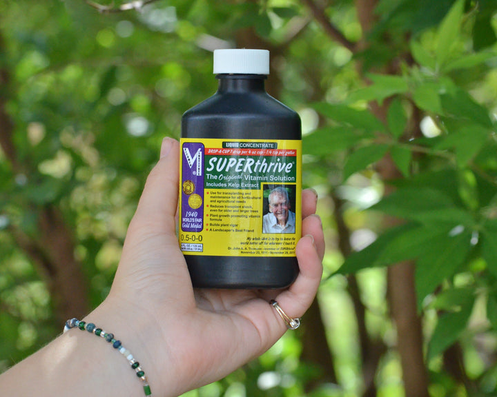 Super Thrive