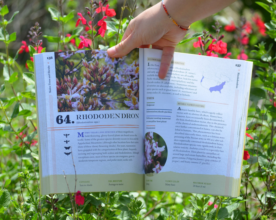 100 Plants to Feed the Bees