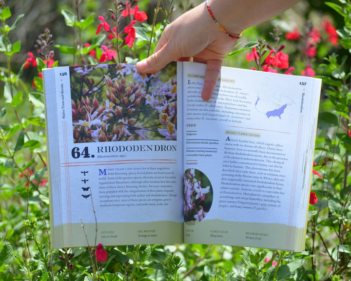 100 Plants to Feed the Bees