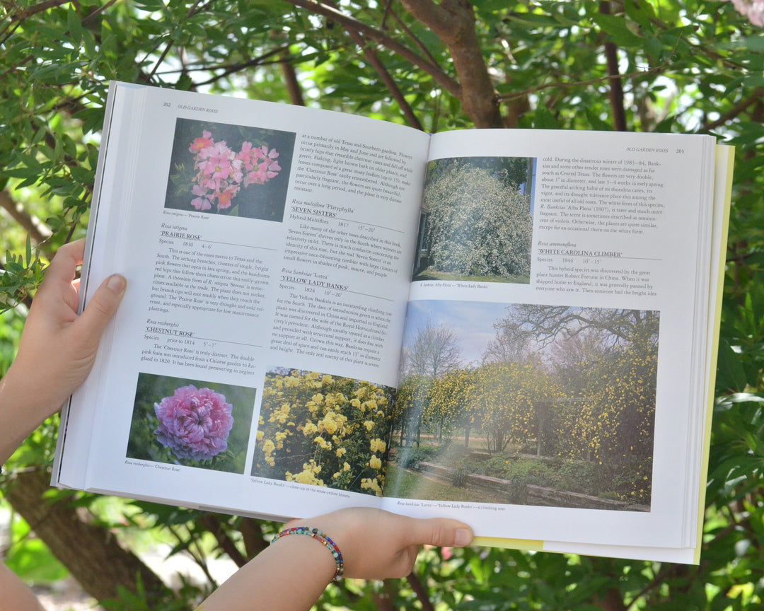 Perennial Garden Color by William C. Welch