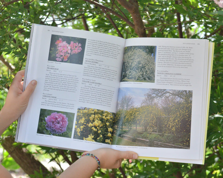 Perennial Garden Color by William C. Welch