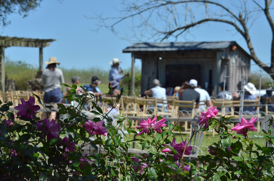 Rosarian Day