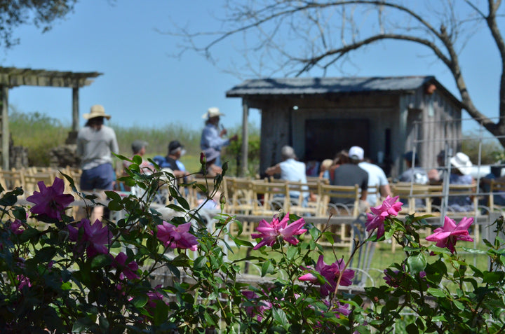 Rosarian Day
