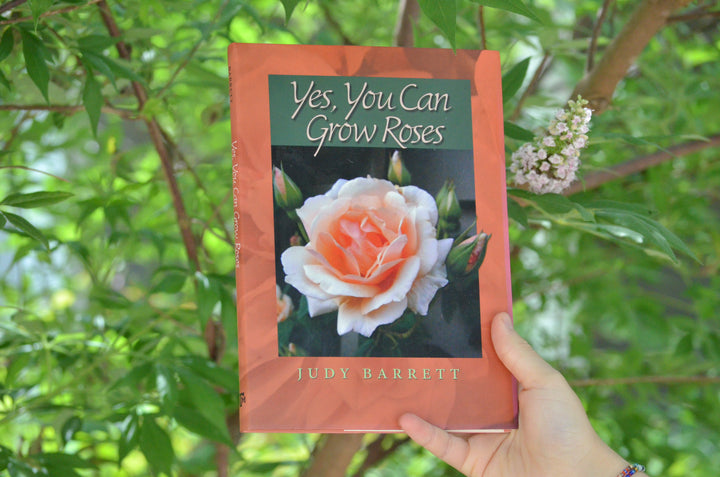 Yes, You Can Grow Roses