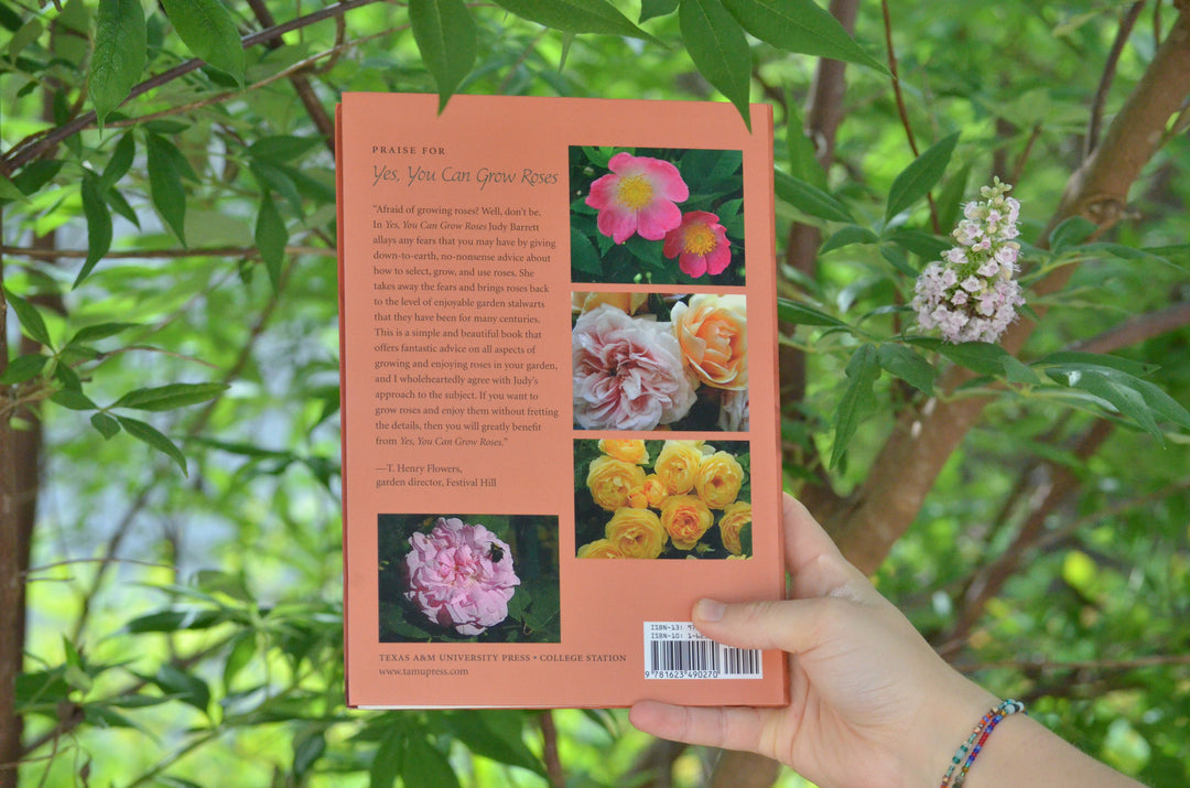 Yes, You Can Grow Roses