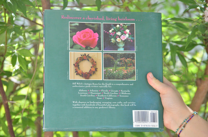 Antique Roses for the South