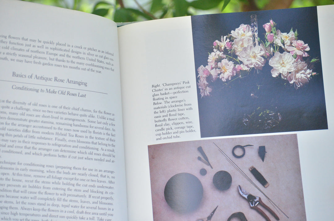 Antique Roses for the South
