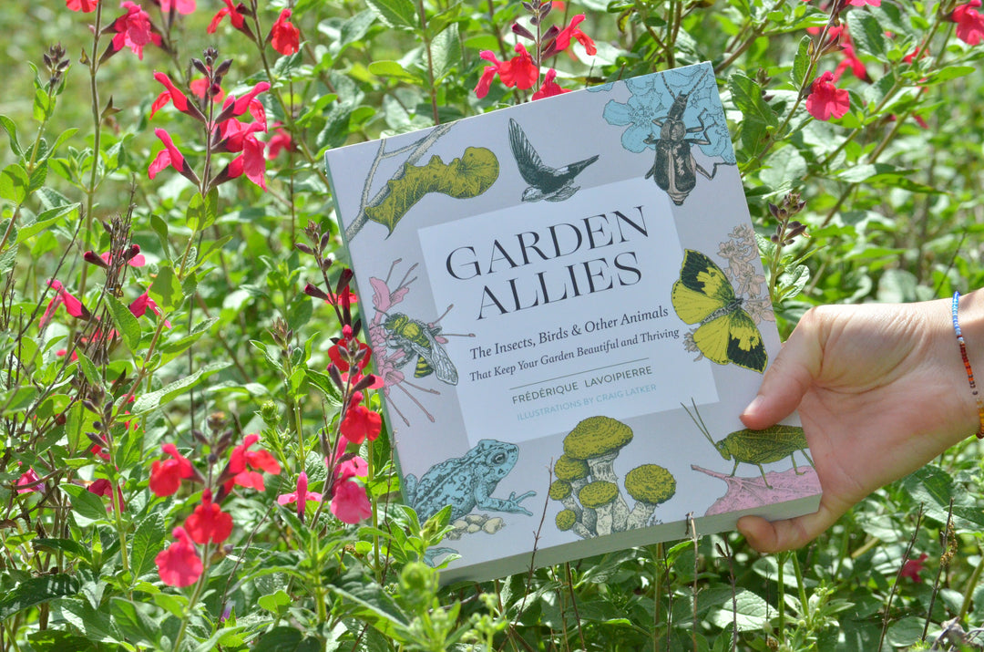 Garden Allies: The Insects, Birds, and Other Animals That Keep Your Garden Beautiful and Thriving