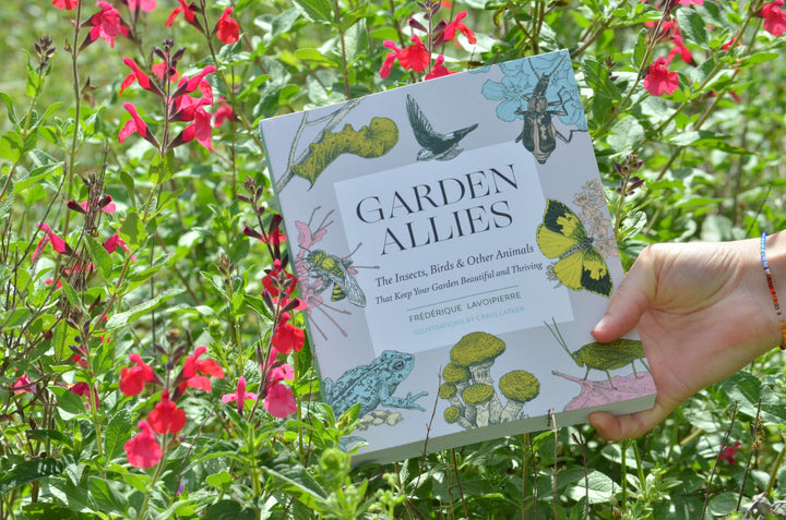 Garden Allies: The Insects, Birds, and Other Animals That Keep Your Garden Beautiful and Thriving