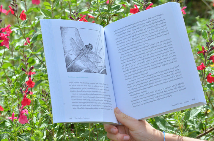 Garden Allies: The Insects, Birds, and Other Animals That Keep Your Garden Beautiful and Thriving