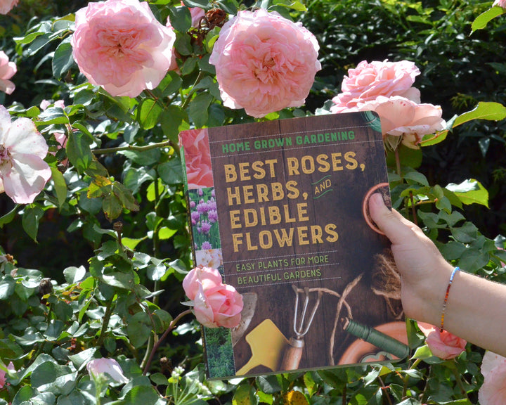 Best Roses, Herbs, and Edible Flowers