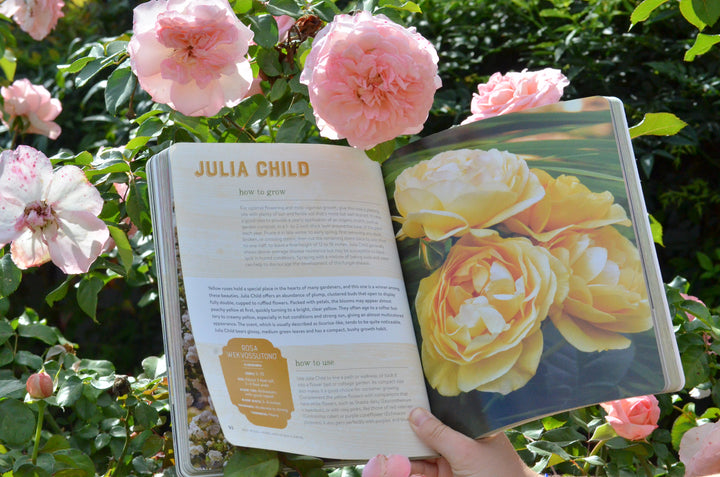 Best Roses, Herbs, and Edible Flowers